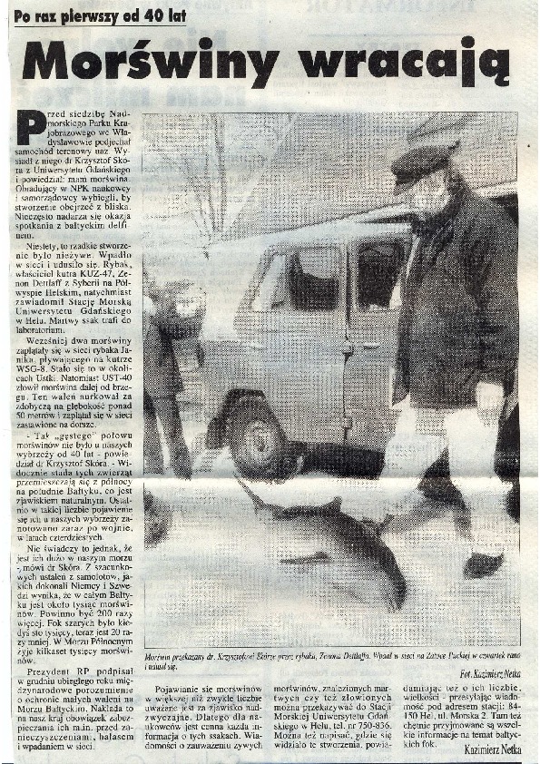 Okładka: Po raz pierwszy od 40 lat morświny wracają. Dziennik Bałtycki. 25.03.1996